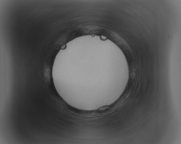 X0000100481108200807111055