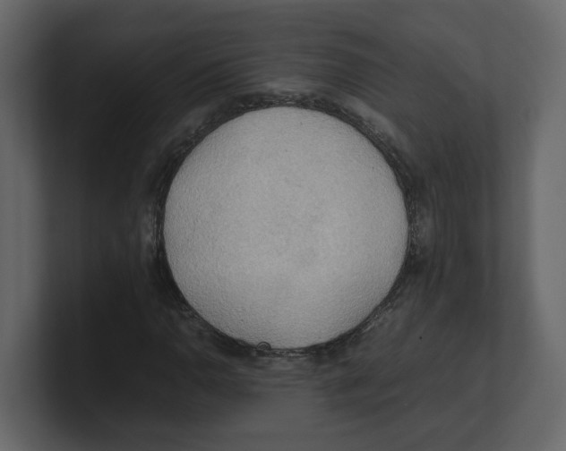 X0000100481110200807111055