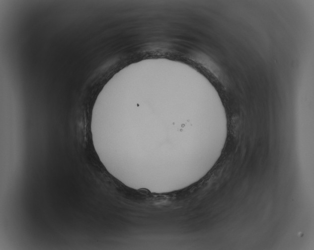 X0000100481111200807111055