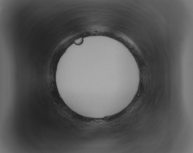 X0000100481112200807111055