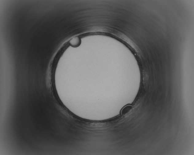 X0000100481116200807111056