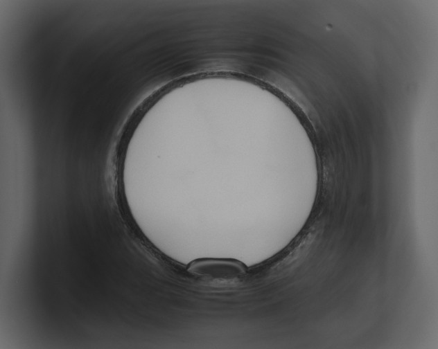 X0000100481119200807111056