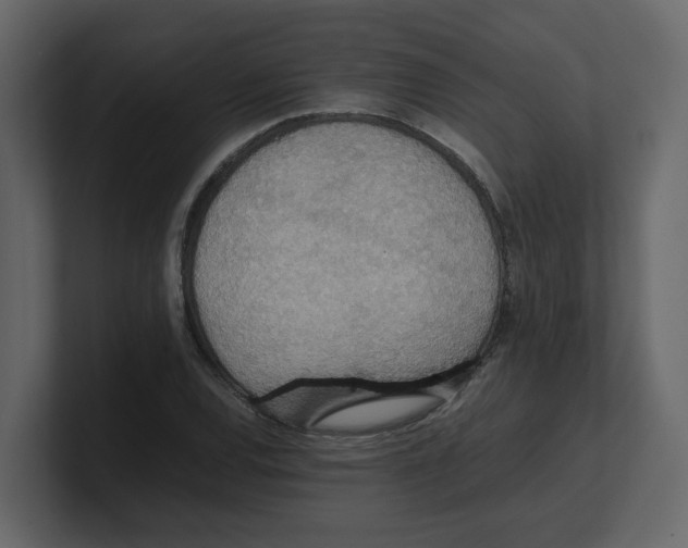 X0000100481120200807111056