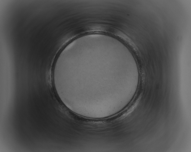 X0000100481121200807111056