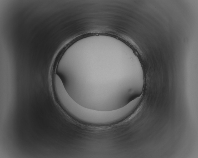 X0000100481122200807111056