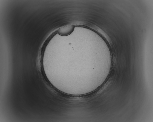 X0000100481124200807111056