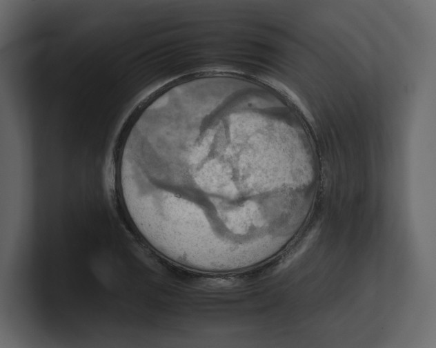 X0000100481125200807111056