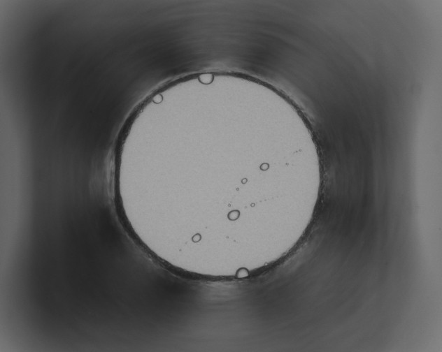 X0000100481126200807111056