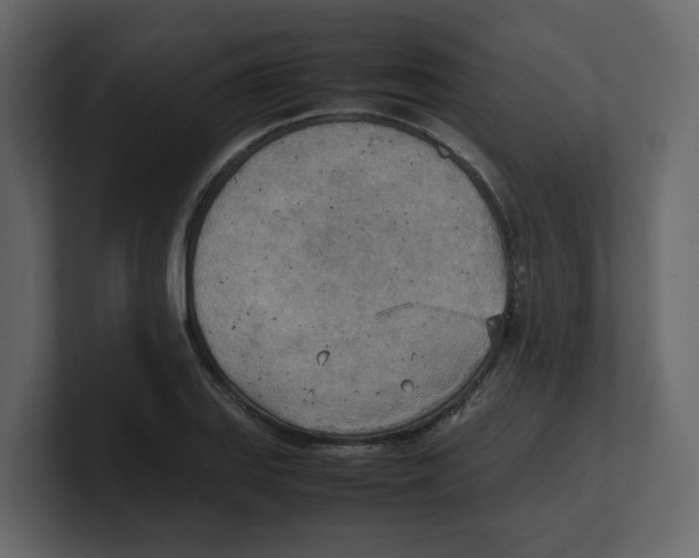 X0000100481127200807111056