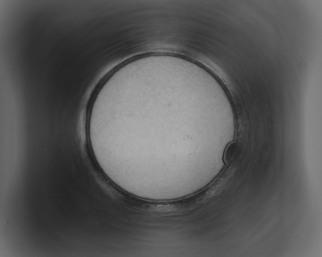 X0000100481128200807111056