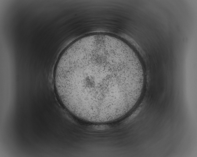 X0000100481129200807111056