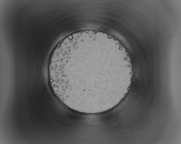 X0000100481130200807111056