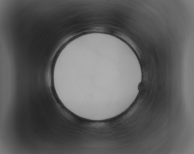 X0000100481131200807111056