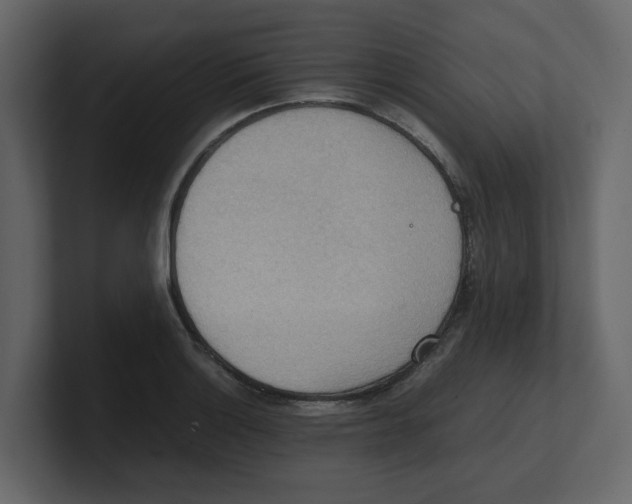 X0000100481132200807111056