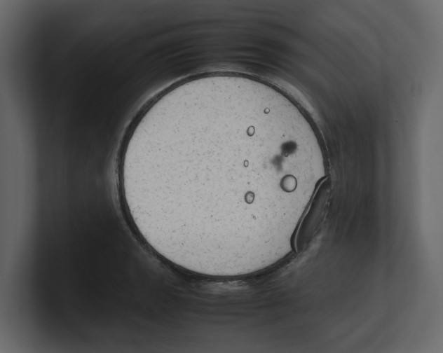 X0000100481133200807111056