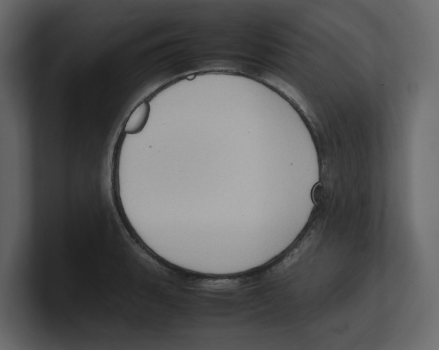 X0000100481135200807111056