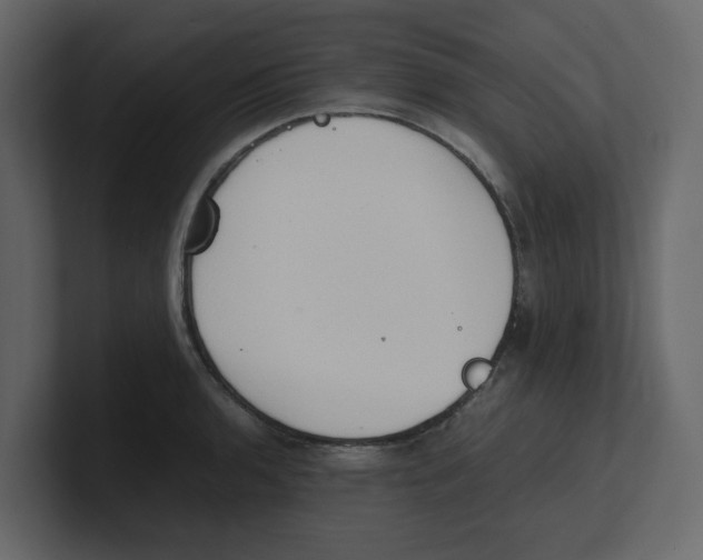 X0000100481136200807111056