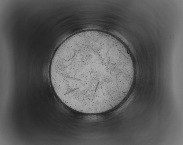 X0000100481137200807111056