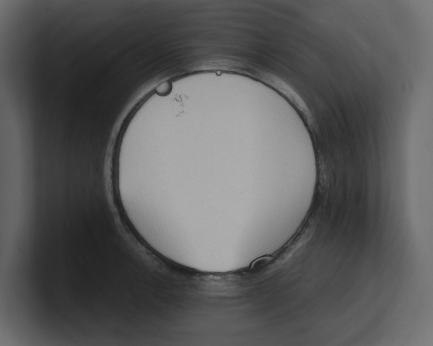 X0000100481138200807111056