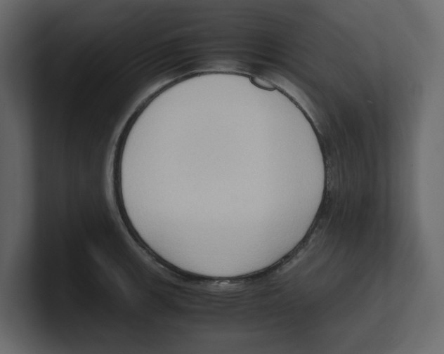 X0000100481139200807111056