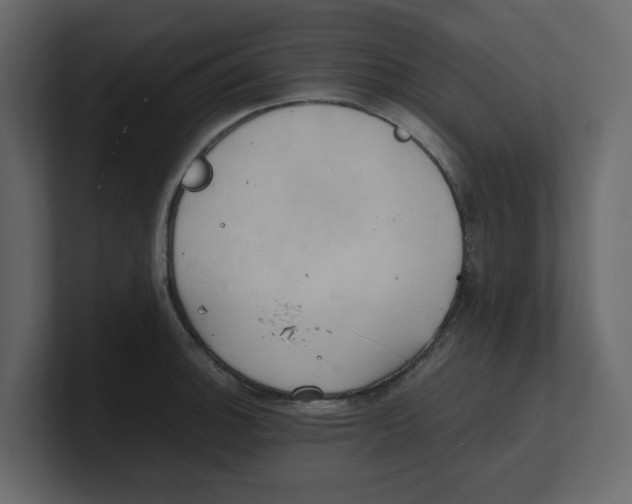 X0000100481140200807111056