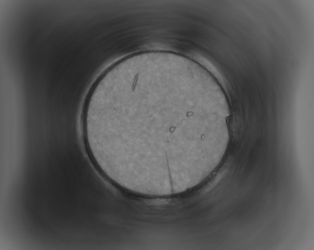 X0000100481141200807111056