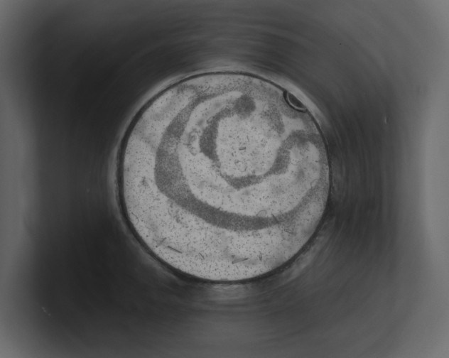 X0000100481142200807111056