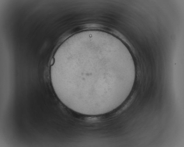 X0000100481145200807111056