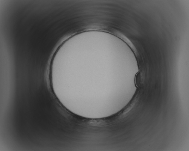 X0000100481146200807111056