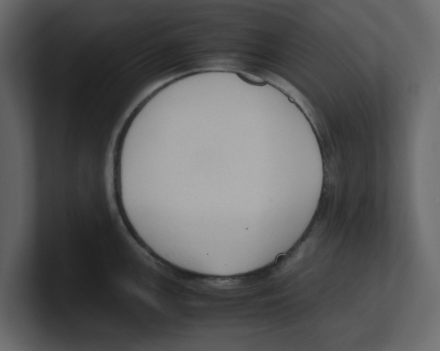 X0000100481147200807111056