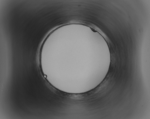 X0000100481148200807111056