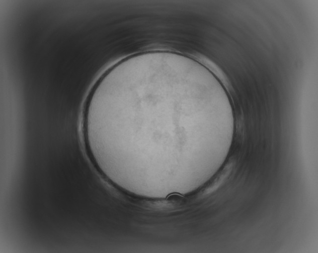 X0000100481149200807111056