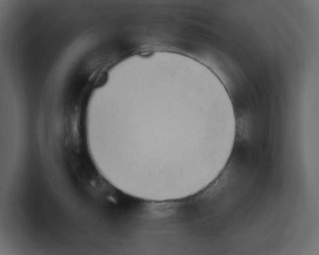 X0000100481150200807111056