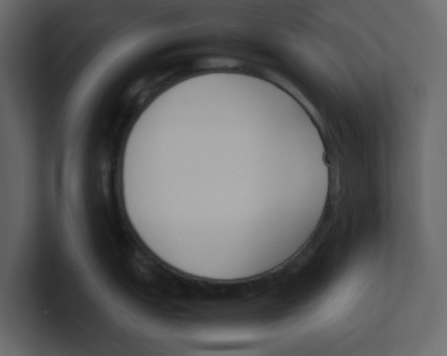 X0000100481151200807111056