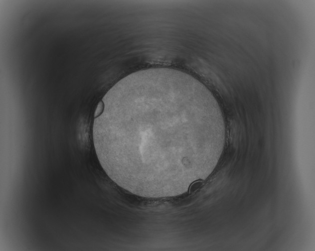 X0000100481154200807111055