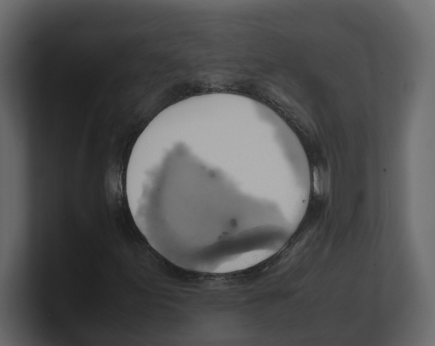 X0000100481155200807111055