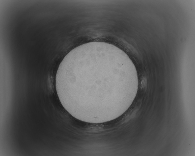 X0000100481156200807111055