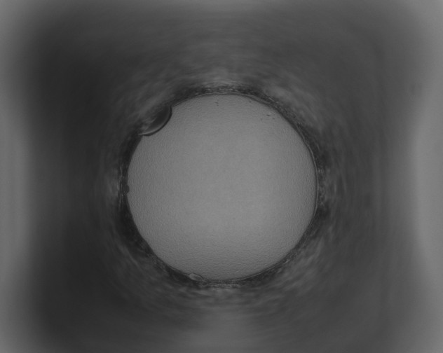 X0000100481157200807111055