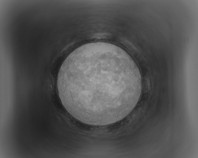 X0000100481158200807111055