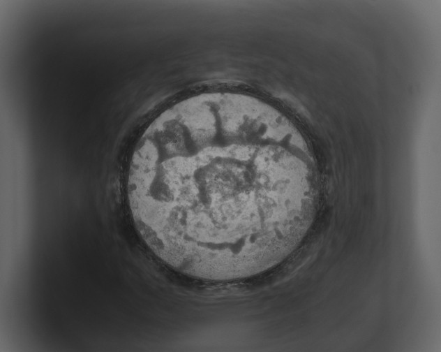 X0000100481159200807111055