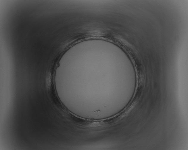 X0000100481161200807111055