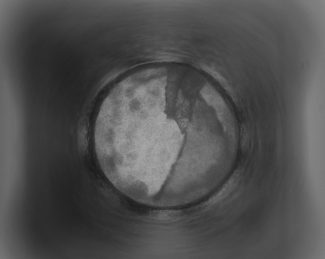 X0000100481163200807111055