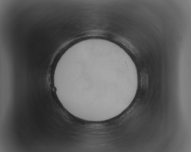 X0000100481164200807111055