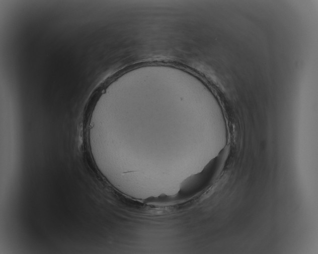 X0000100481165200807111055