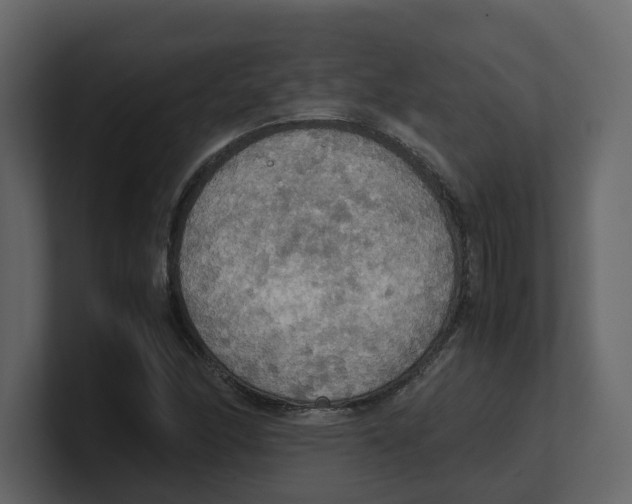 X0000100481166200807111055