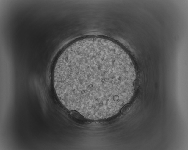 X0000100481167200807111055