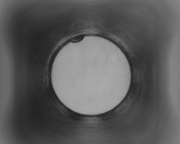 X0000100481168200807111055