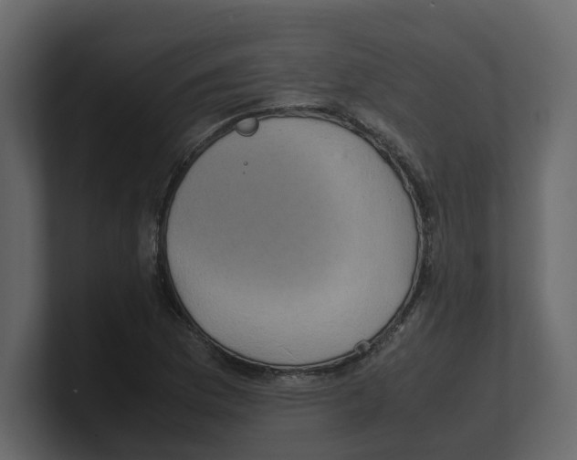 X0000100481169200807111055