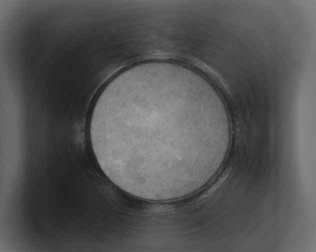 X0000100481170200807111055