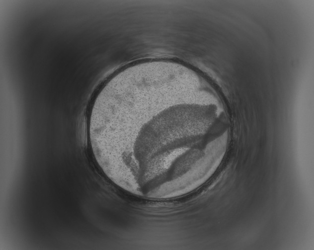 X0000100481171200807111055